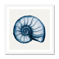 Indigo Watercolour Nautilus Shell Painting | Shell Art - Framed Wall Art