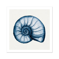 Indigo Shell Painting | Watercolour Nautilus Shell Print | Shell Art - Unframed Art Print