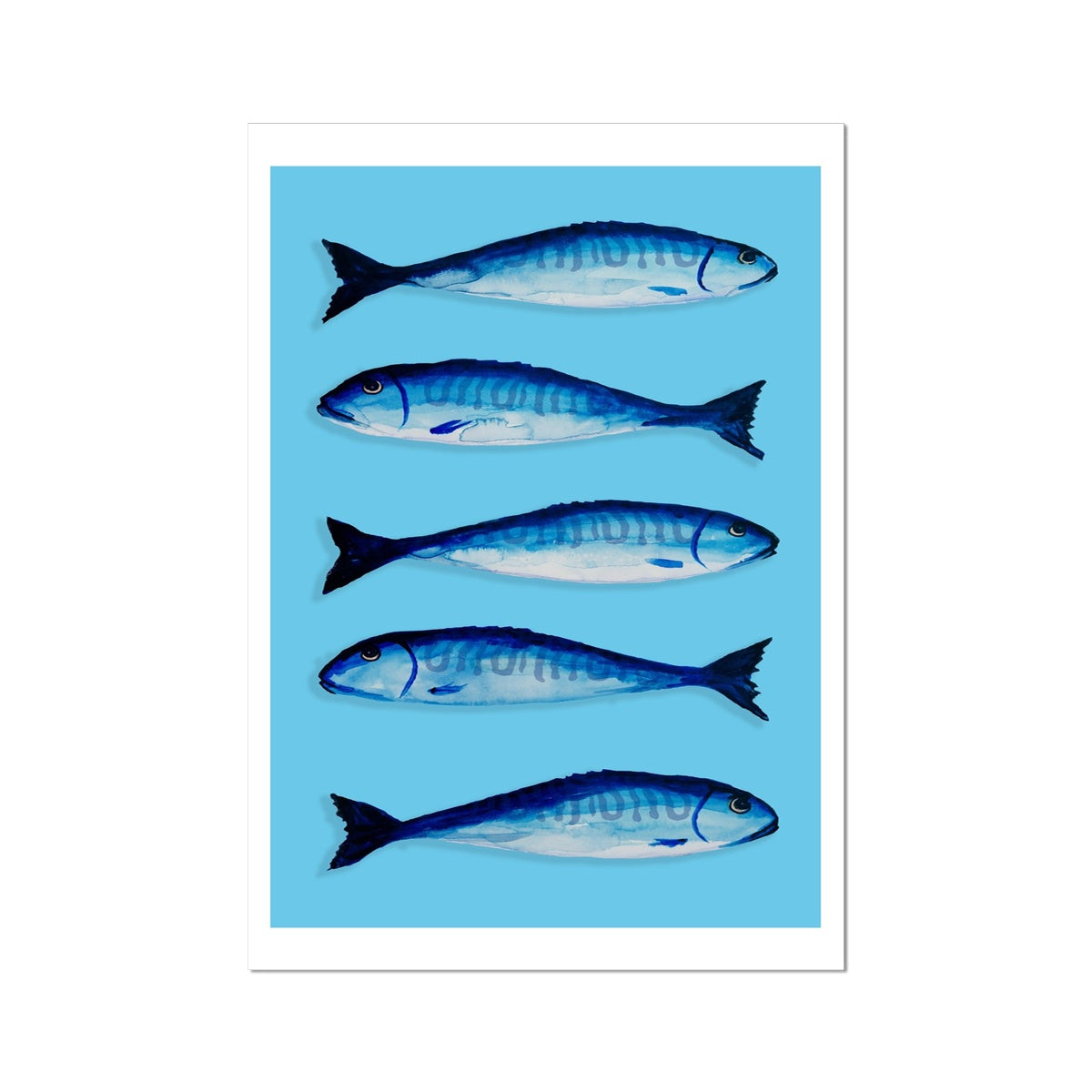 Mackerel Painting | Kitchen Fish Art Print | Mackerel Fish Painting on Blue - Unframed