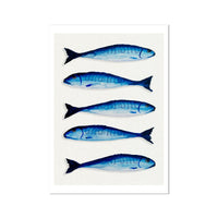 Mackerel Painting | Kitchen  Wall Art Print  - Unframed