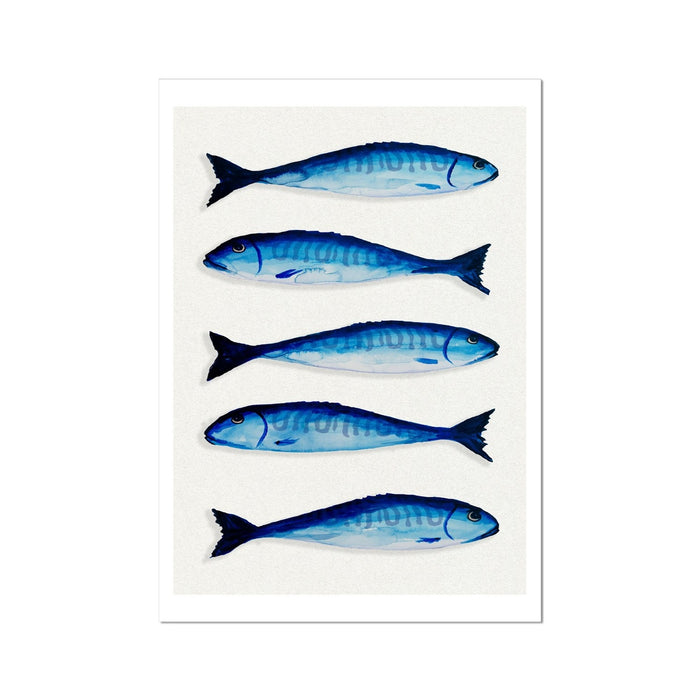 Mackerel on Paper | Kitchen Fish Wall Art Print  - Unframed