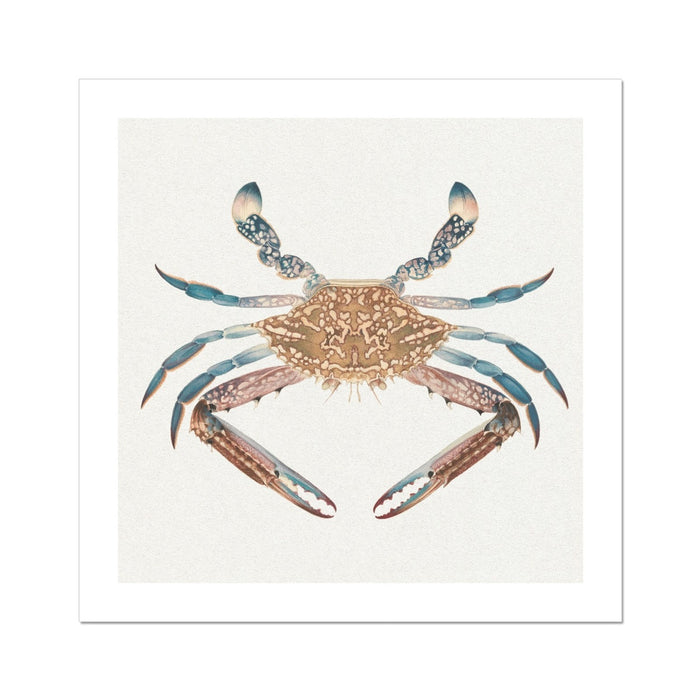 Vintage Crab Painting | Shellfish Wall Art Print - Unframed