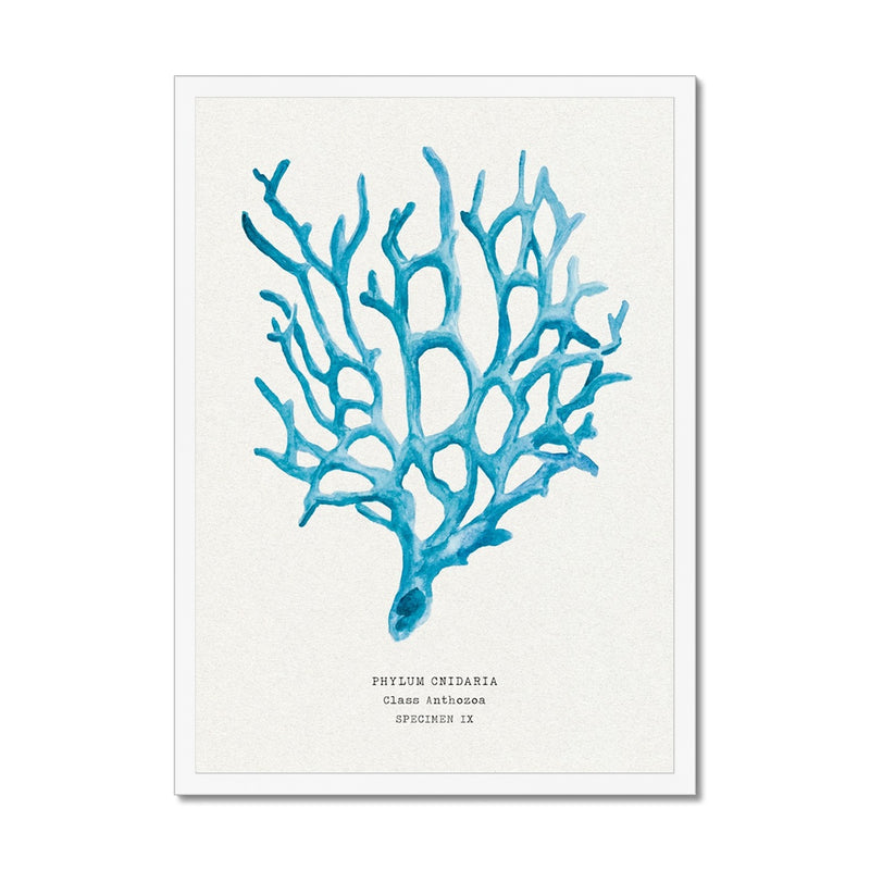 Coral Wall Art | Sea Blue Art Print | Specimen 9 - Framed Beach House Art