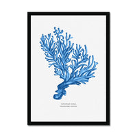 Coral Print | Marine Blue Coral Paintng No 5 - Framed