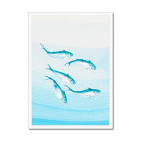 Mackerel Shoal 3 | Fish Wall Art Print - Framed