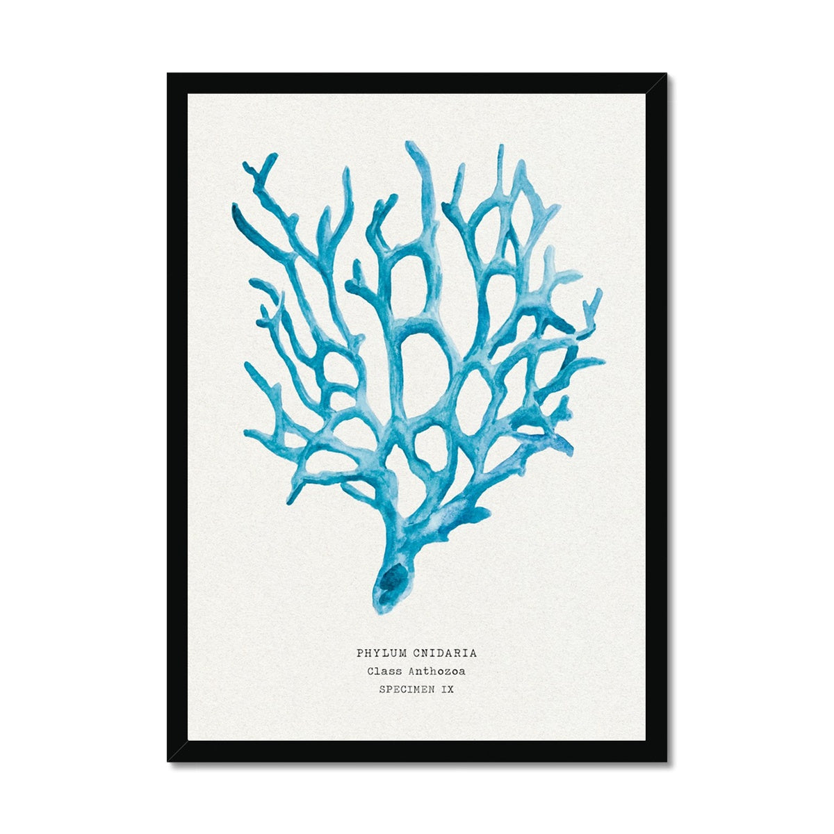 Coral Wall Art | Sea Blue Art Print | Specimen 9 - Framed Beach House Art