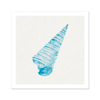 Aqua Watercolour Cone Shell Painting | Shell Print Wall Art - Unframed Art Print