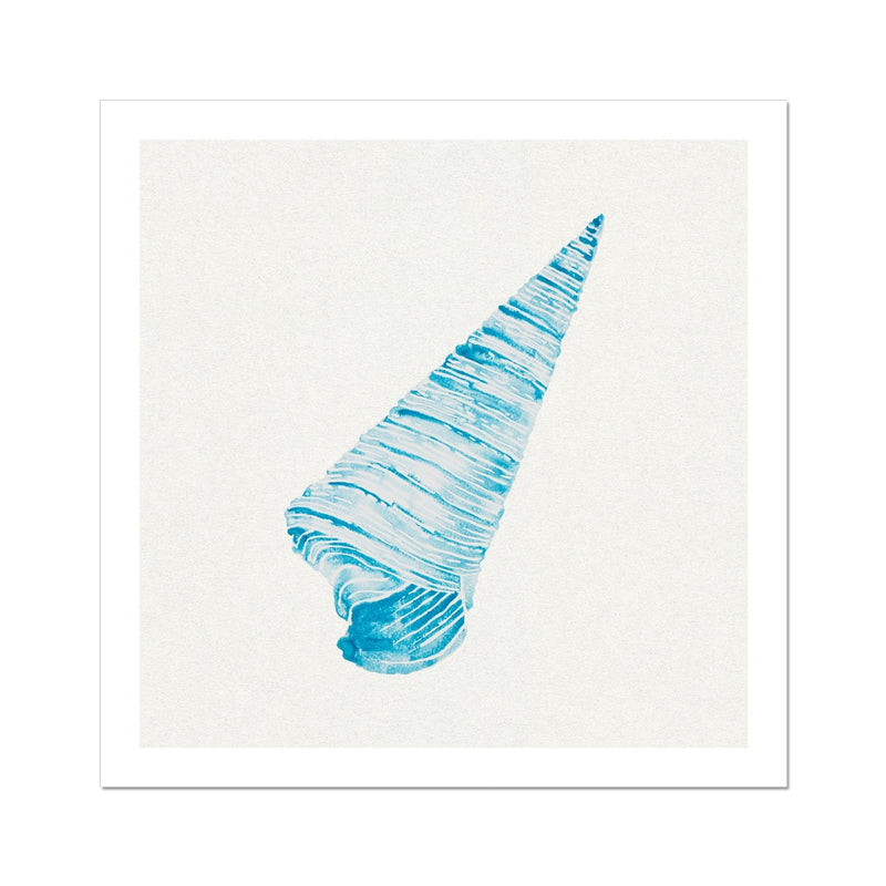 Aqua Watercolour Cone Shell Painting | Shell Print Wall Art - Unframed Art Print