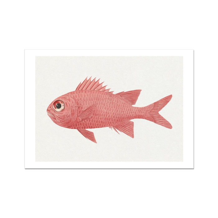 Vintage Fish Painting No. 3 | Fish Wall Art  - Unframed