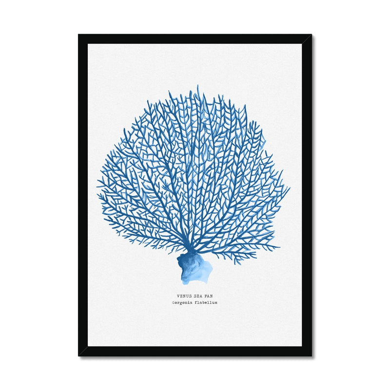 Coral Print | Blue Coral Painting - Framed Coral Print