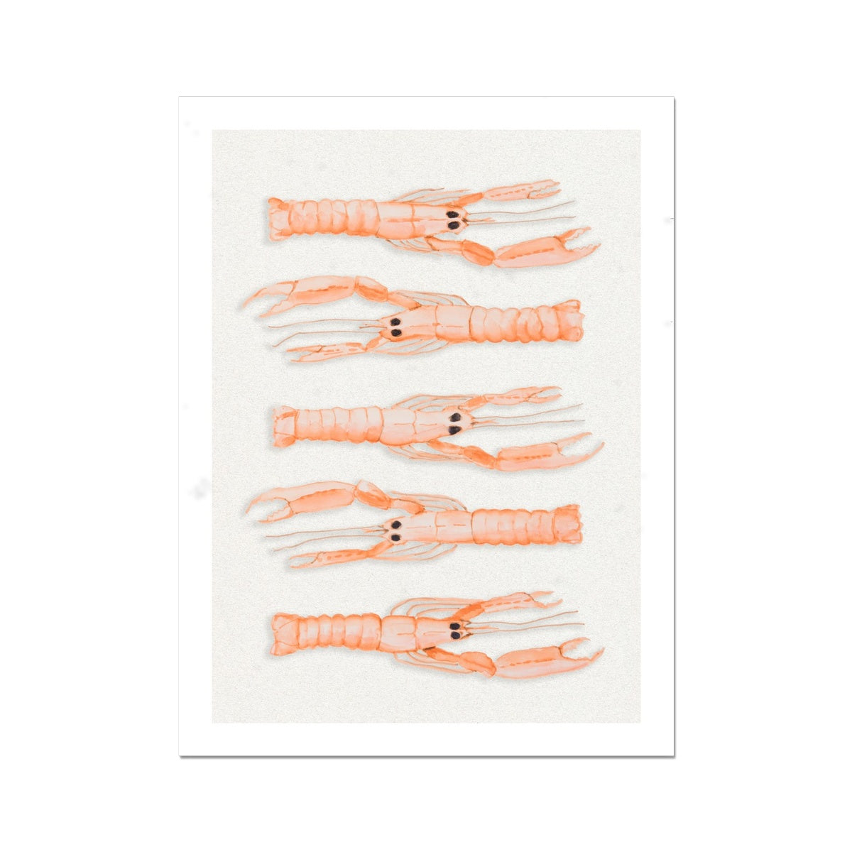 Langoustine Painting | Sealife Wall Art Print - Unframed