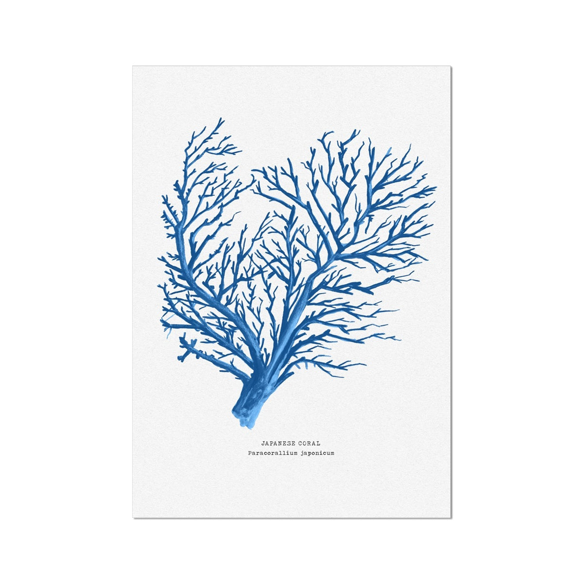 Coral Print | Marine Blue Coral Painting No 1 - Unframed