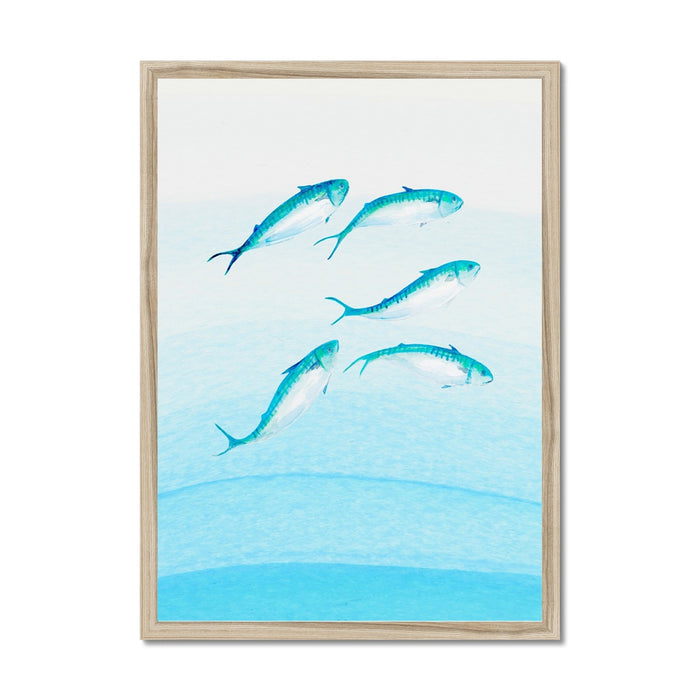 Mackerel Shoal 2 | Fish Wall Art Print - Framed