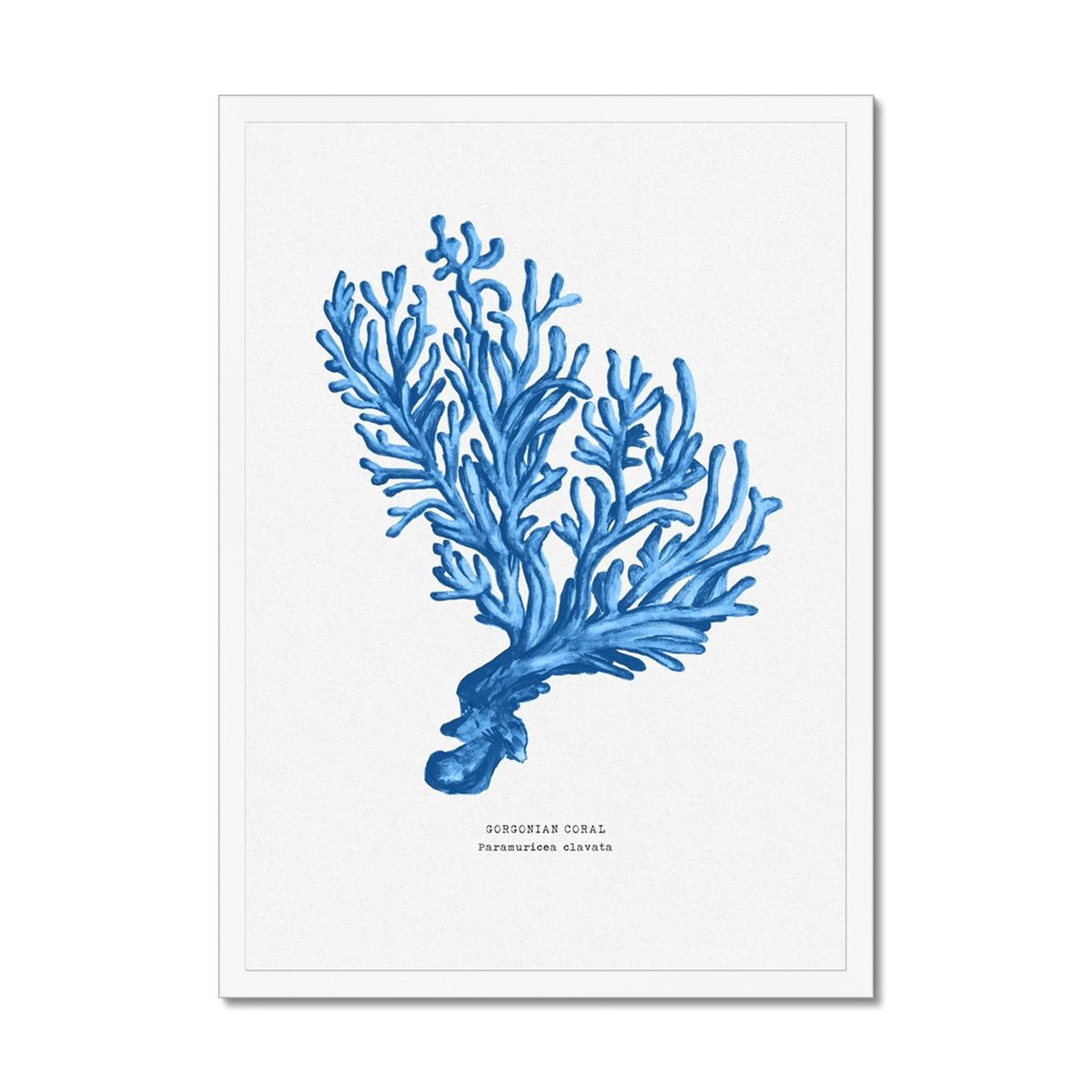 Coral Print | Marine Blue Coral Paintng No 5 - Framed