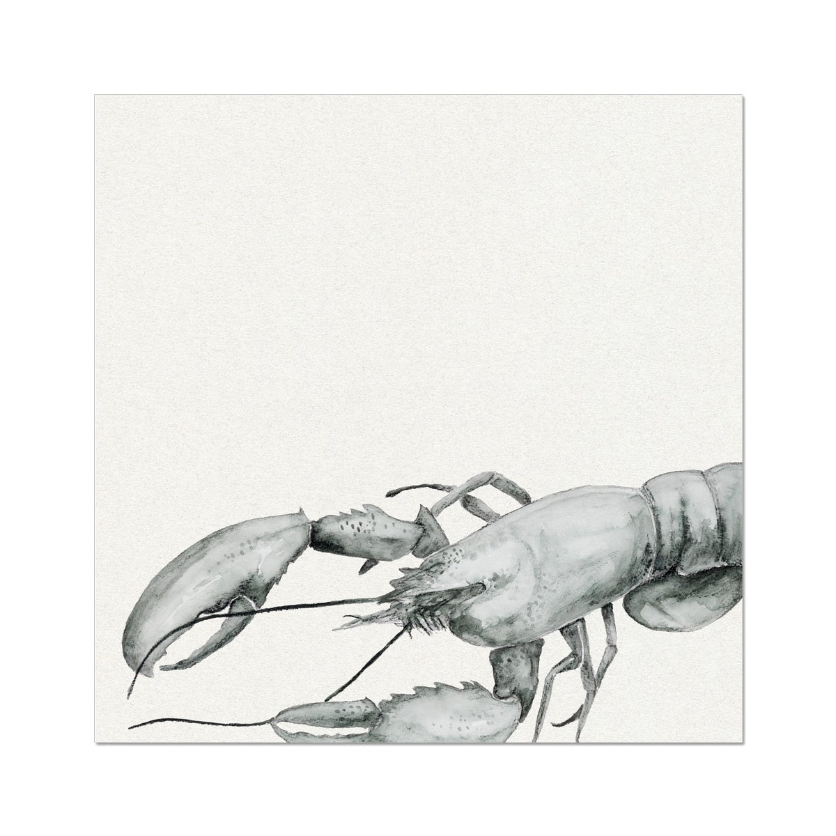 Ink Wash Lobster Art Print | Square Format - Unframed