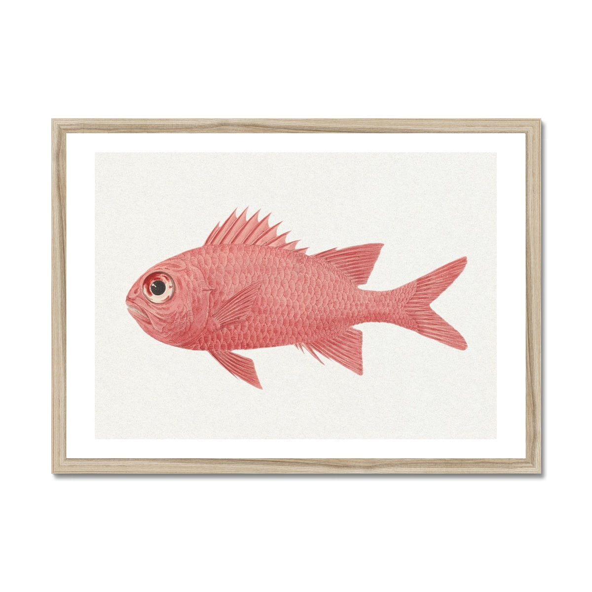 Vintage Fish Painting No. 3 | Fish Wall Art  - Framed