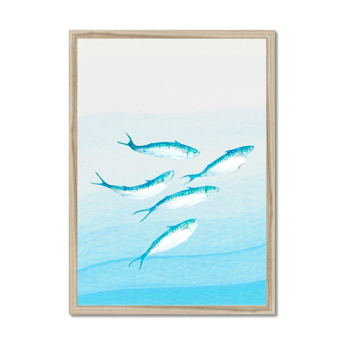 Mackerel Shoal 1 | Fish Wall Art Print - Framed