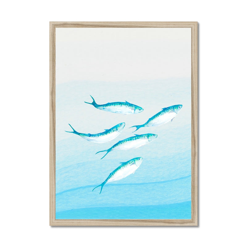 Mackerel Shoal 1 | Fish Wall Art Print - Framed