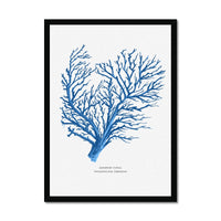 Coral Print | Marine Blue Coral Painting No 1 - Framed