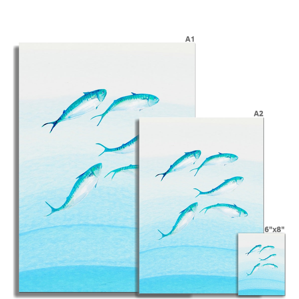 Mackerel Shoal 2 | Fish Wall Art Print - Unframed