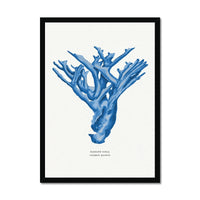 Coral Print | Marine Blue Coral Painting No 4 - Framed