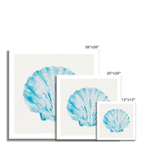 Aqua Watercolour Scallop Shell Painting | Shell Print Wall Art - Unframed Wall Art