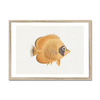 Vintage Fish Painting No. 2 | Fish Wall Art  - Framed