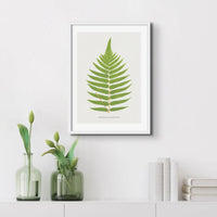 beautifully framed piece of botanical art featuring a print of the Acrostichum Crispatulum fern.