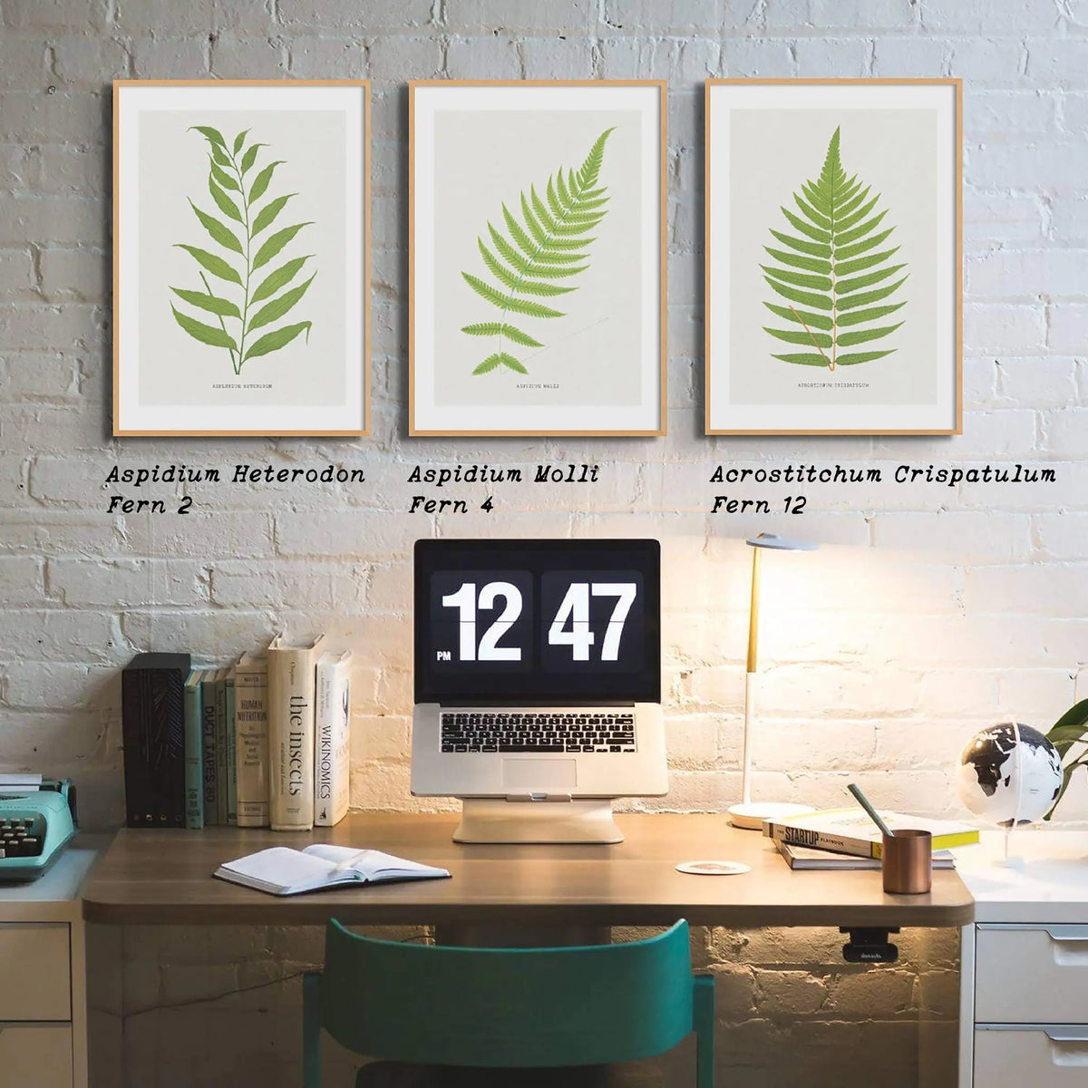 Acrostichum Crispatulum | Fern Prints | Botanical Wall Art - Unframed Art 