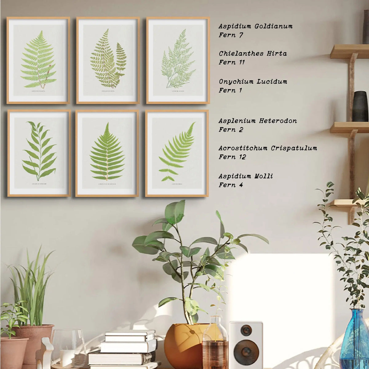 Acrostichum Crispatulum | Fern Prints | Botanical Wall Art - Unframed Art 