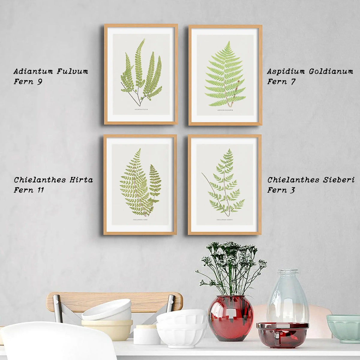 Adiantum Fulvum | Fern Prints | Botanical Wall Art - Unframed Wall Art