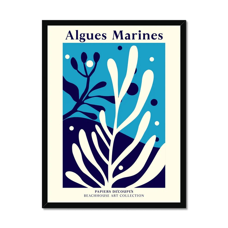 Algues Marines - Graphic Wall Art - Framed - Beach House Art