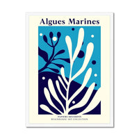 Algues Marines - Graphic Wall Art - Framed - Beach House Art