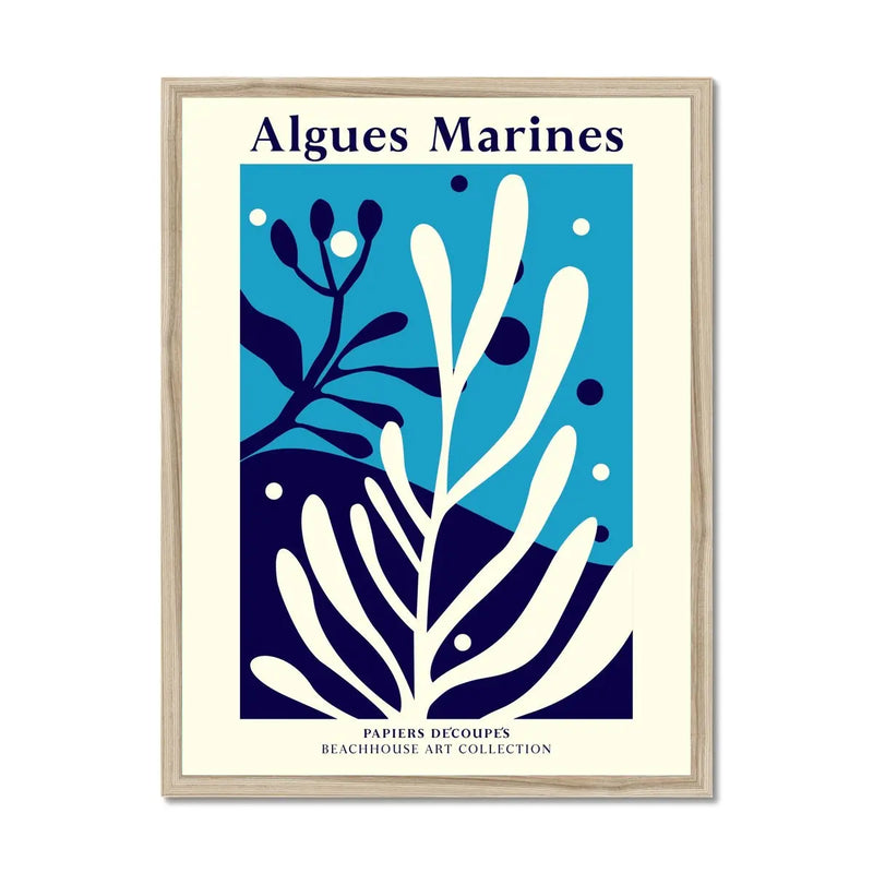 Algues Marines - Graphic Wall Art - Framed - Beach House Art