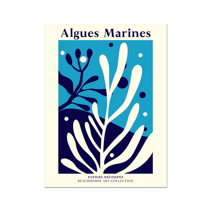 Algues Marines - Graphic Wall Art - Unframed - Beach House Art