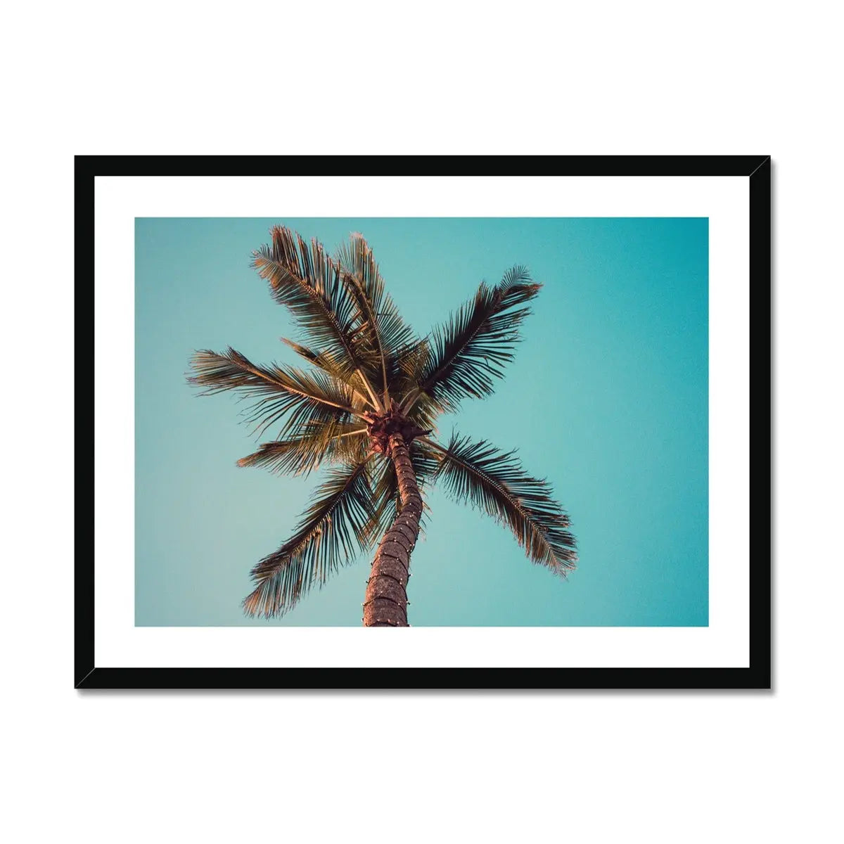 coloured beach art photograph of a palm tree against a blue green sky in a black frame - beach house art