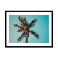 coloured beach art photograph of a palm tree against a blue green sky in a black frame - beach house art