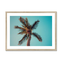 coloured beach art photograph of a palm tree against a blue green sky in a natural frame - beach house art