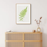 framed wall art featuring the Aspidium Molle fern print in beautiful botanical art. It would make a great addition to any space.