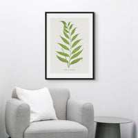 framed vintage fern print on wall above armchair - lush green fern framed in black frame