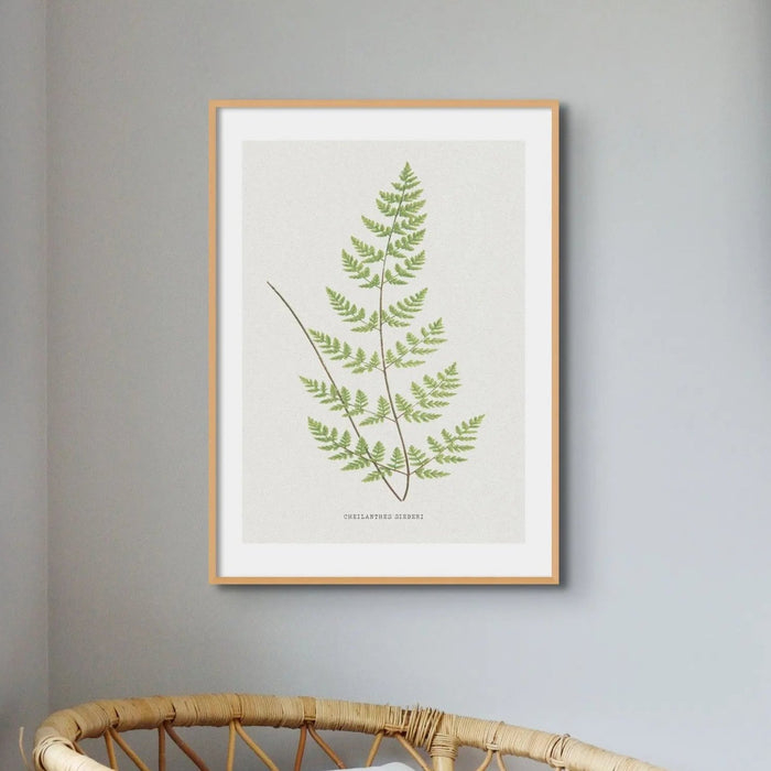 Check out our Fern Print - a stunning piece of botanical art that comes unframed. Perfect for adding a touch of nature to any room. Beach House Art