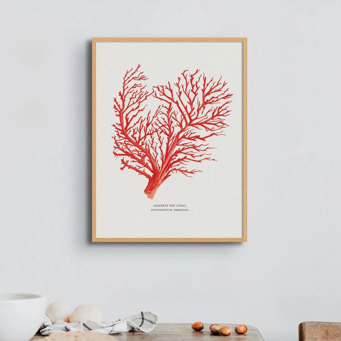 Coral Print (Red Coral No 1) - Unframed