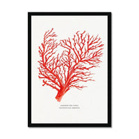 Coral Wall Art Print (Red Coral No 1) - Framed - Coral Painting by Beach House Art