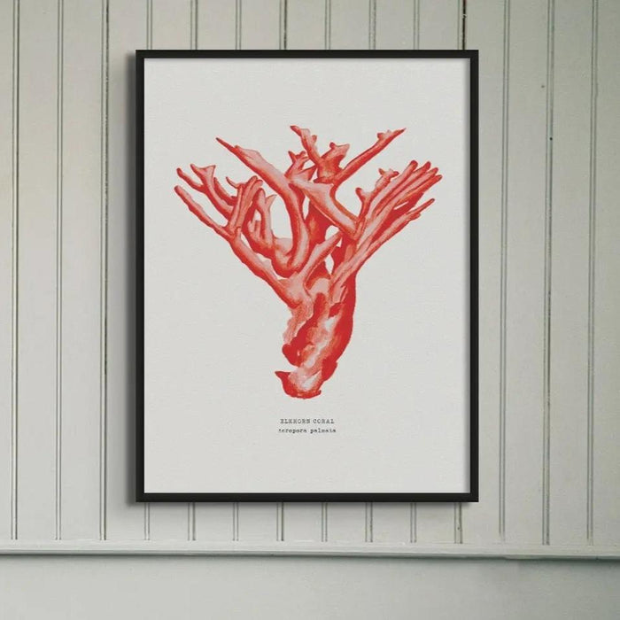 Coral Print (Red Coral No 4) - Unframed