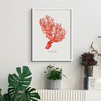 Coral Wall Art Print (Red Coral No 5) - Unframed Beach House Art