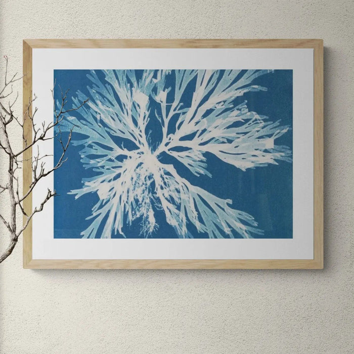 Cyan Algae: Vintage Seaweed Print - Framed Print - Beach House Art