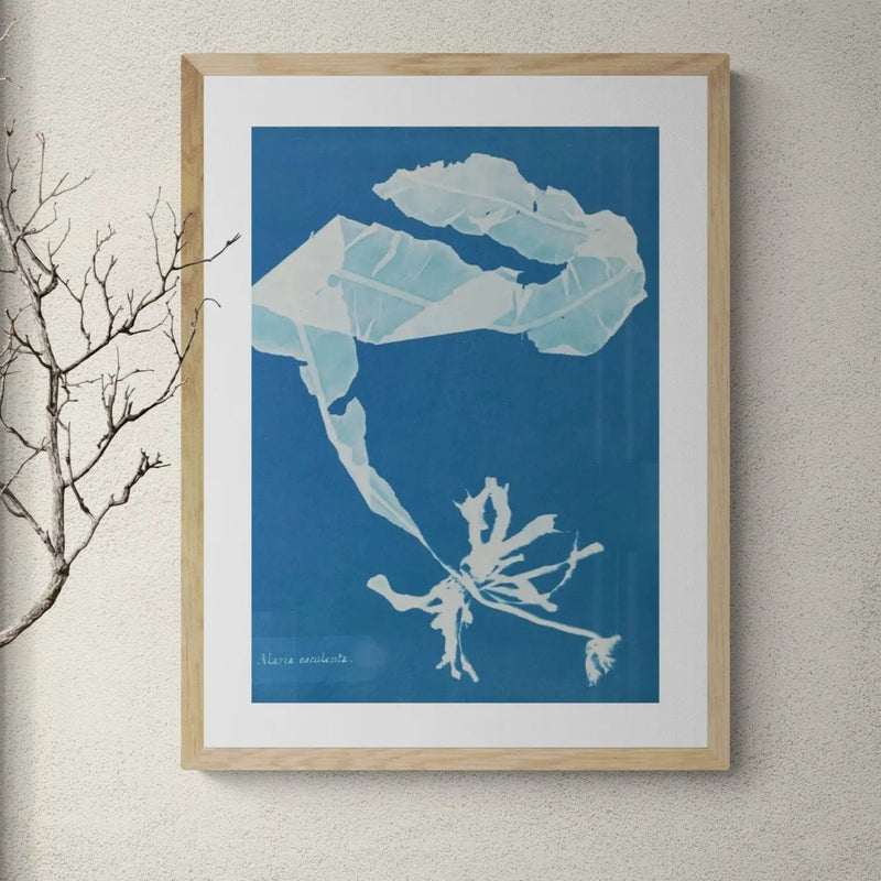 Cyan Kelp: Vintage Seaweed Print - Framed - Beach House Art