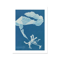 Cyan Kelp: Vintage Seaweed Print - Unframed - Beach House Art