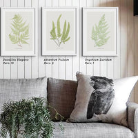 botanical art - unframed fern print featuring the Davallia Elegans fern. It's a beautiful addition to any space