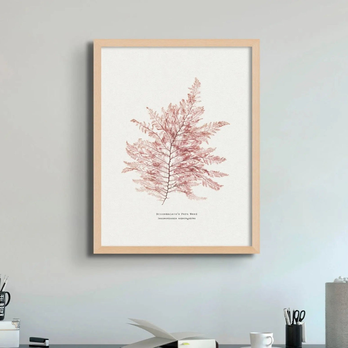 Seaweed Print Wall Art (Fern Weed No1) - Unframed - Beach House Art